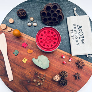 Hedgehog Fun Size Play Dough Kit