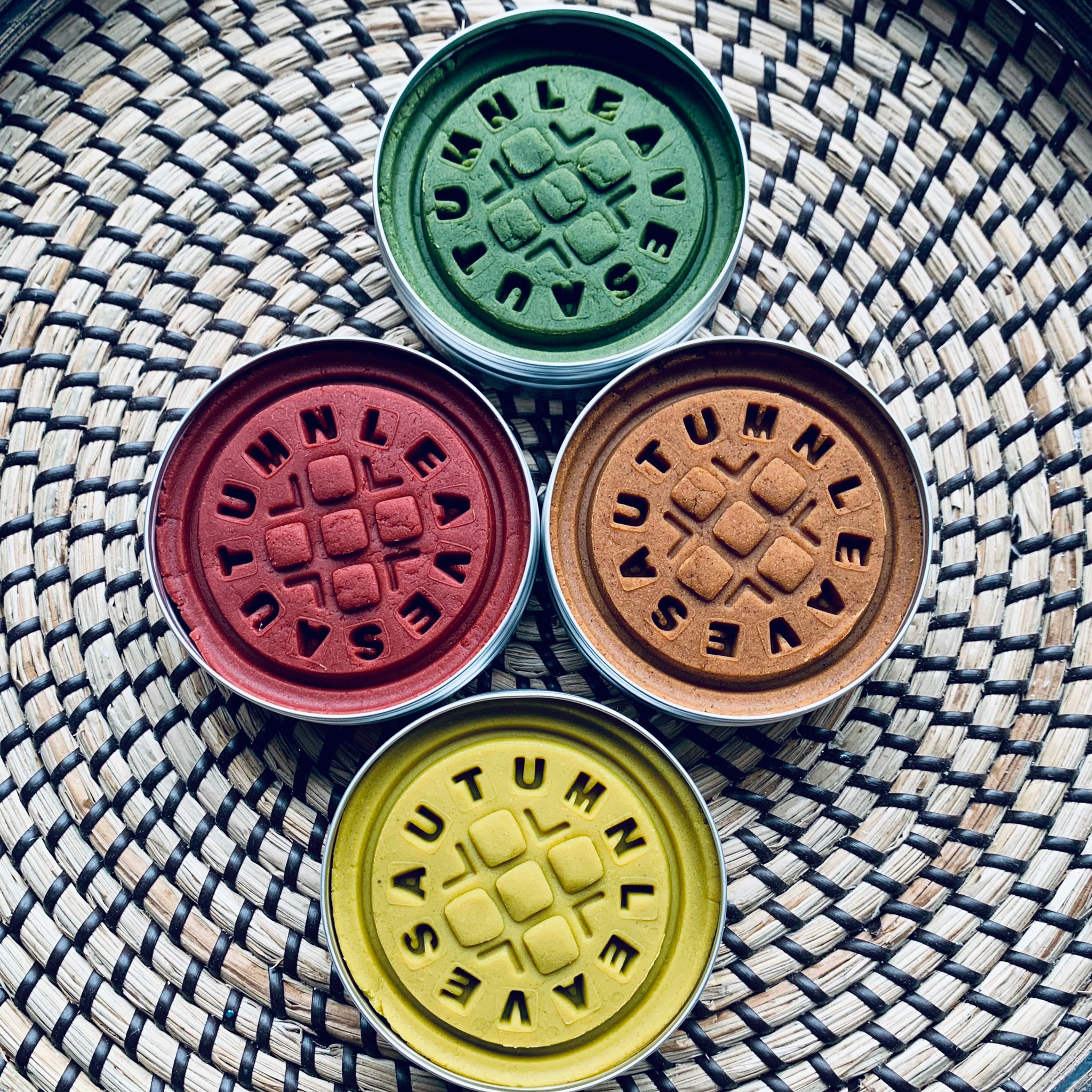 autumn leaves play dough sets 