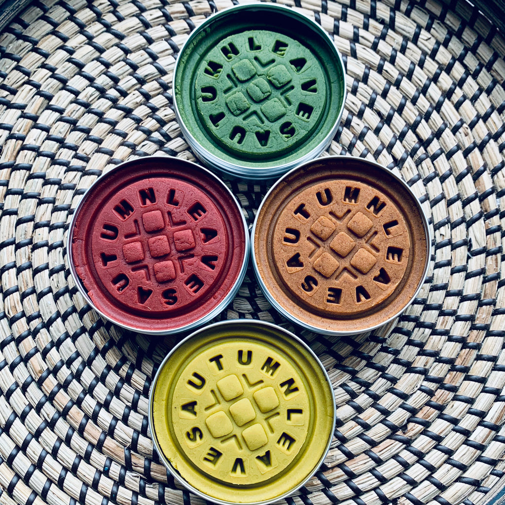 autumn leaves play dough sets 